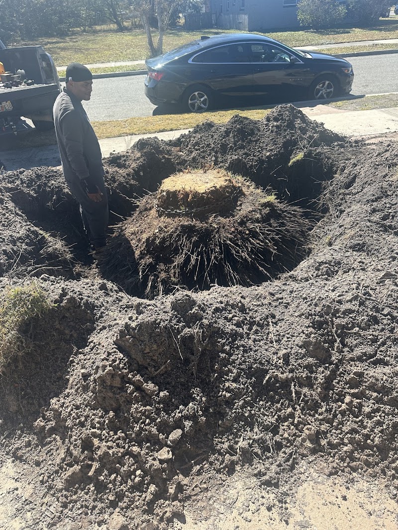 Supreme Cut Lawn Services work photo 1